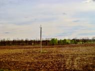 Хижинці з panoramio.com