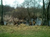 Ярова з panoramio.com