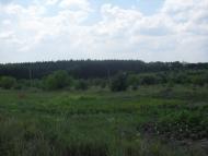 Українське з panoramio.com