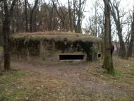 Зайців з panoramio.com