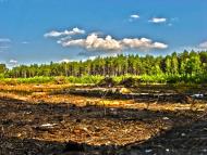 Клипець з panoramio.com