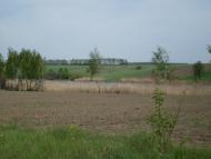 Бережне з panoramio.com