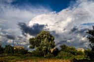 Чехівка з panoramio.com - Чеховка