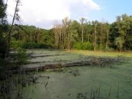 Обозне з panoramio.com