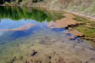 Красна Гора з panoramio.com