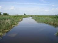 Русанів з panoramio.com