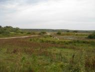 Ковчин з panoramio.com