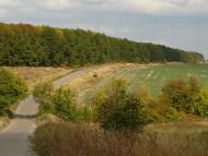 Українське з panoramio.com