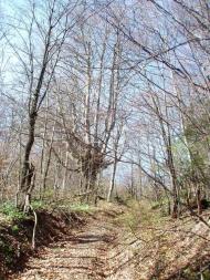 Крушельниця з panoramio.com