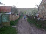 Кологори з panoramio.com