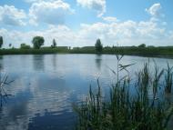 Рудня з panoramio.com