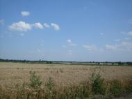 Краснопілка з panoramio.com