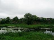Федорівка з panoramio.com