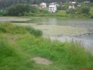 Пасіки-Зубрицькі з panoramio.com