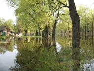 Морівськ з panoramio.com