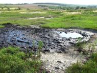 Старуня з panoramio.com