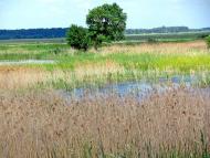 Тростянець з panoramio.com