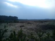 Арламівська Воля з panoramio.com