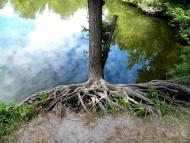 Передільське з panoramio.com