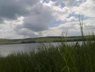 Малозименове з panoramio.com