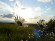 Верхній Майдан з panoramio.com