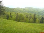 Стригальня з panoramio.com - Стригальняя