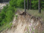 Короп'є з panoramio.com