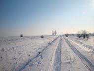 Радсад з panoramio.com