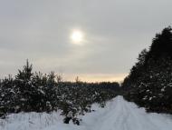 Бодячів з panoramio.com