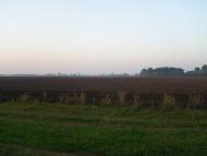 Лецьки з panoramio.com