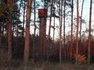 Зарванці з panoramio.com - Зарванцы