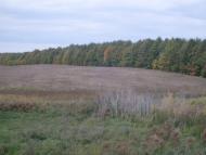 Кузьминці з panoramio.com