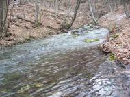 Овражки з panoramio.com - Овражки