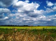 Глибочиця з panoramio.com