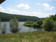 Рогізна з panoramio.com