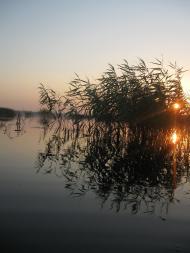 Товпижин з panoramio.com - Товпижин