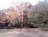 Вишняки з panoramio.com - Вишняки