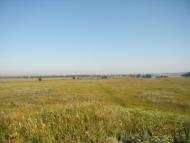 Хроли з panoramio.com