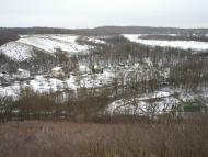 Вишневе з panoramio.com