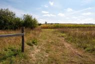 Хоросно з panoramio.com