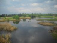 Сенча з panoramio.com