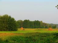 Мелені з panoramio.com