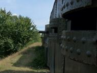 Литвинець з panoramio.com