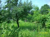 Михайлівка з panoramio.com