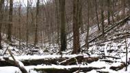 Ворочово з panoramio.com - Ворочево