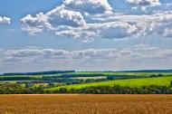 Українське з panoramio.com