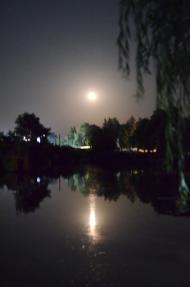 Мала Севастянівка з panoramio.com