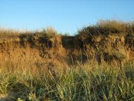 Володимирівка з panoramio.com