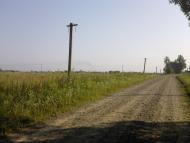 Курипів з panoramio.com