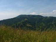 Вишній Дубовець з panoramio.com